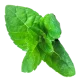 Mint 3@0.25x