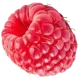 Raspberry 1@0.25x
