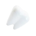 Tooth Table Right@0.35x